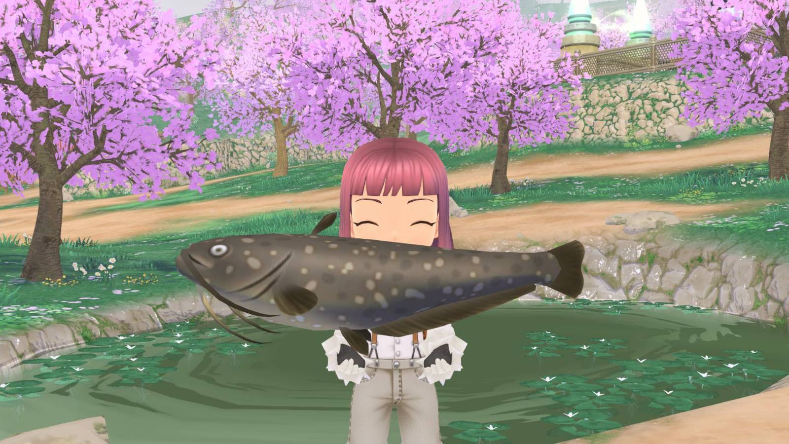 story of seasonsd a wonderful life amur catfish