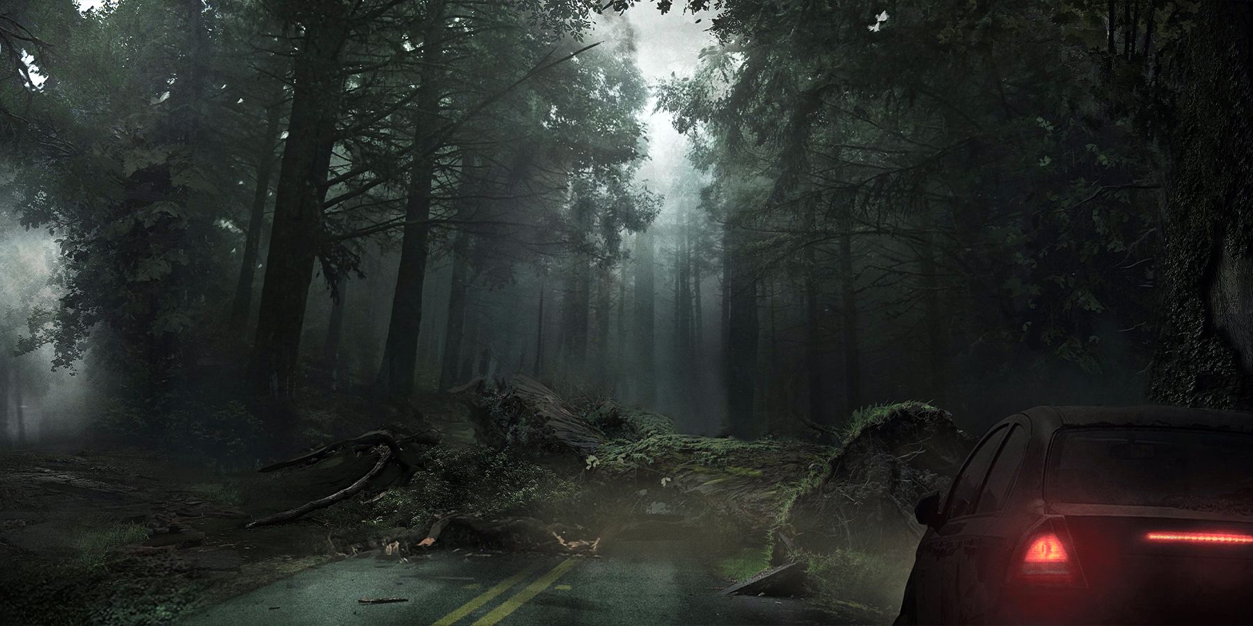 Silent Hill 2- Forest