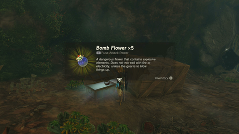 zelda tears of the kingdom jojon shrine