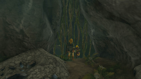 zelda tears of the kingdom jojon shrine