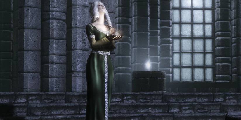 A female Dragonborn dressed in one of the mod dresses.