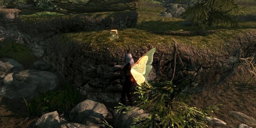 Screenshot showing a character outfitted with a pair of yellow butterfly wings.