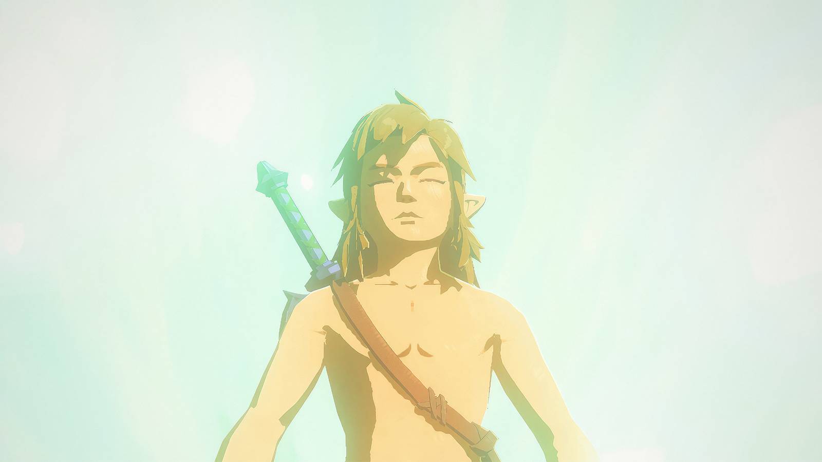 The Legend of Zelda Tears of the Kingdom TOTK topless Link with closed eyes medium close-up
