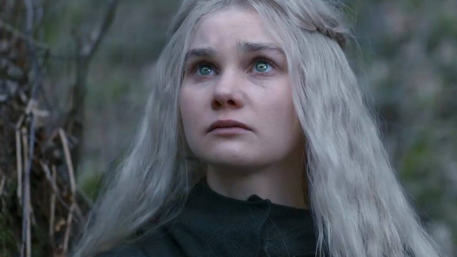 The Witcher Fake Ciri