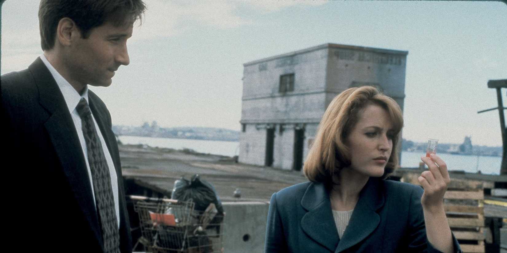 Special Agents Fox Mulder (David Duchovny) and Dana Scully (Gillian Anderson) in The X-Files