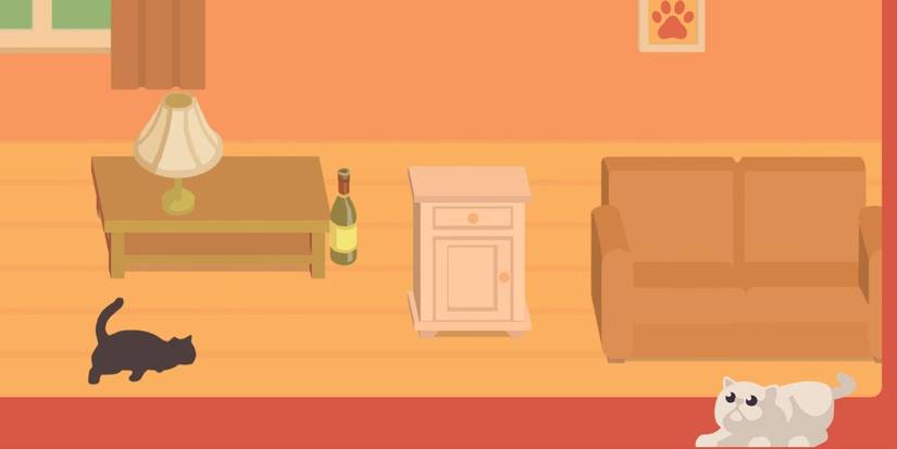 The Cat Games Obstacle Course