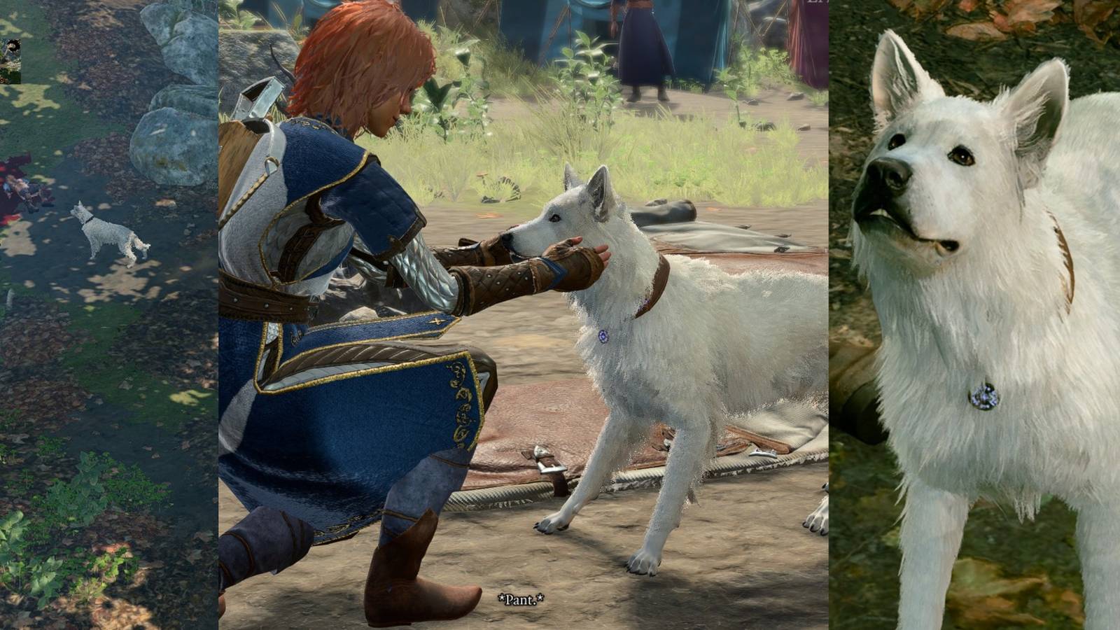 title split image stratch the dog bg3