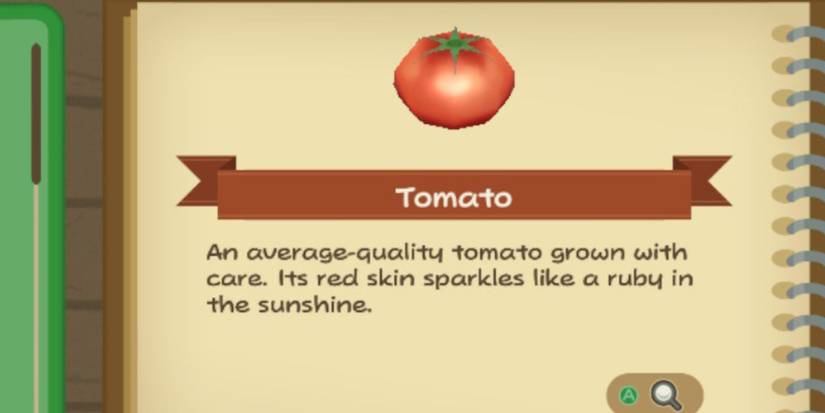 A Tomato in Story of Seasons: A Wonderful Life