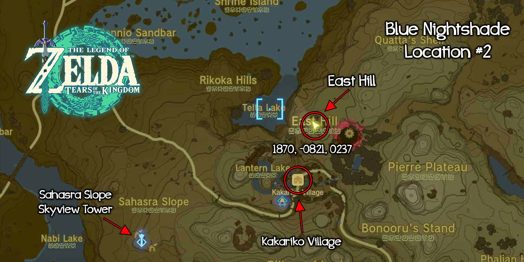 The Ultimate Guide to Finding Blue Nightshade in Zelda: Tears of the Kingdom