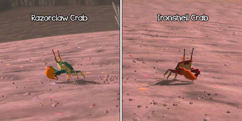 Crabs in Tears of the Kingdom