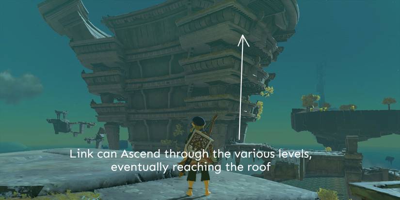 TotK-GSI-Time-Temple-Levels