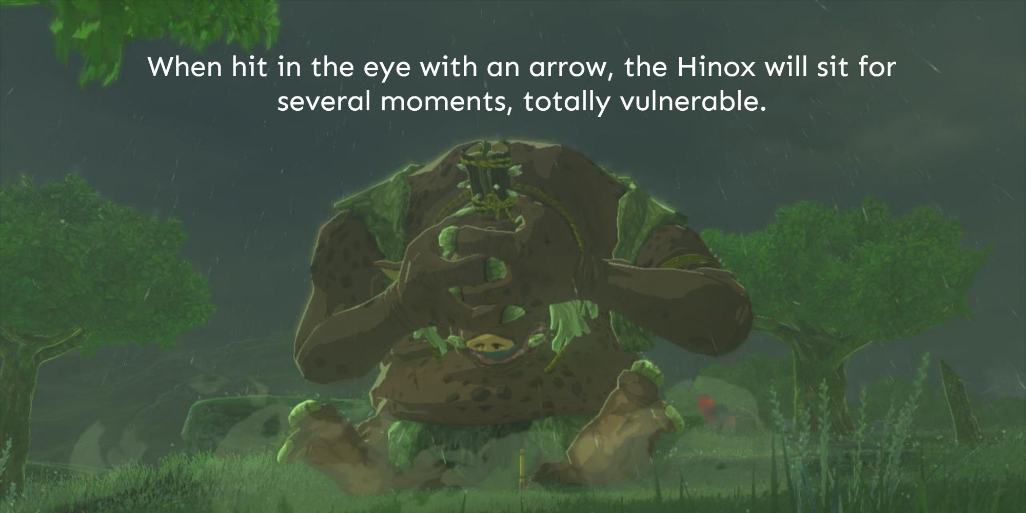 Zelda: Tears of the Kingdom - Wanted: Hinox Walkthrough