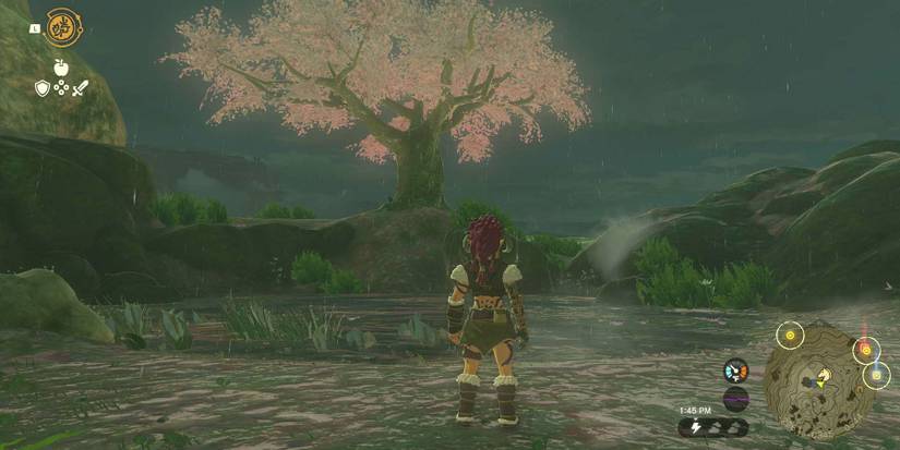 A Picture for Outskirt Stable quest in Zelda: Tears of the Kingdom.