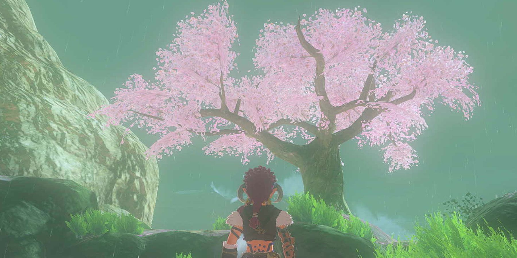 Outskirt Stable · The Legend of Zelda: Breath of the Wild Wiki