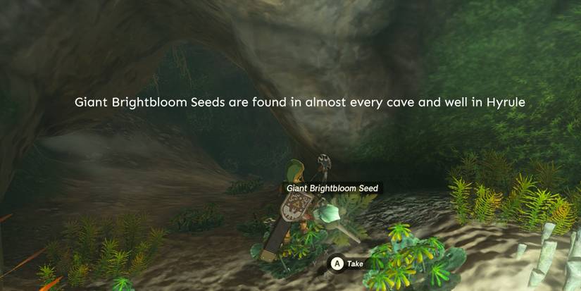 TotK-Secreet-Room-Giant-Brightbloom-Seed