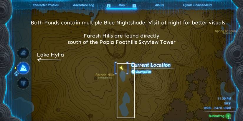 TotK-Secret-Room-Blue-Nightshade-Map