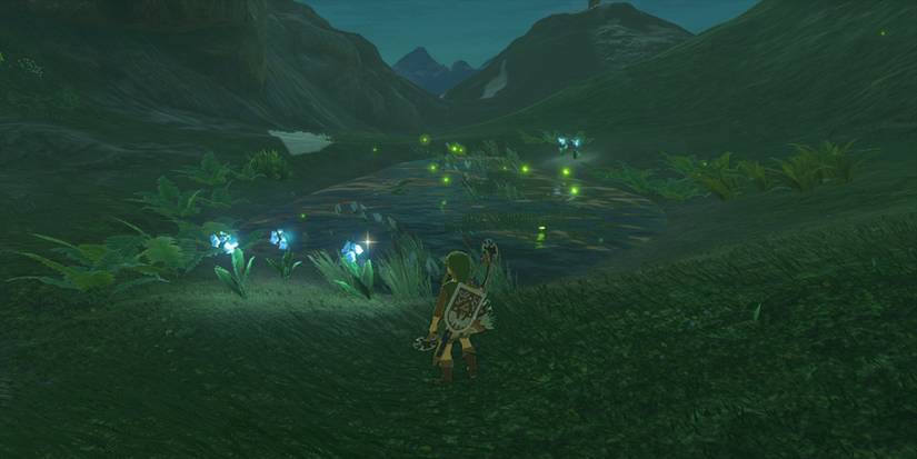 TotK-Secret-Room-Blue-Nightshade