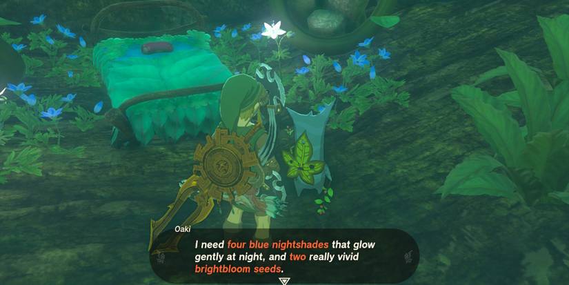 TotK-Secret-Room-Materials