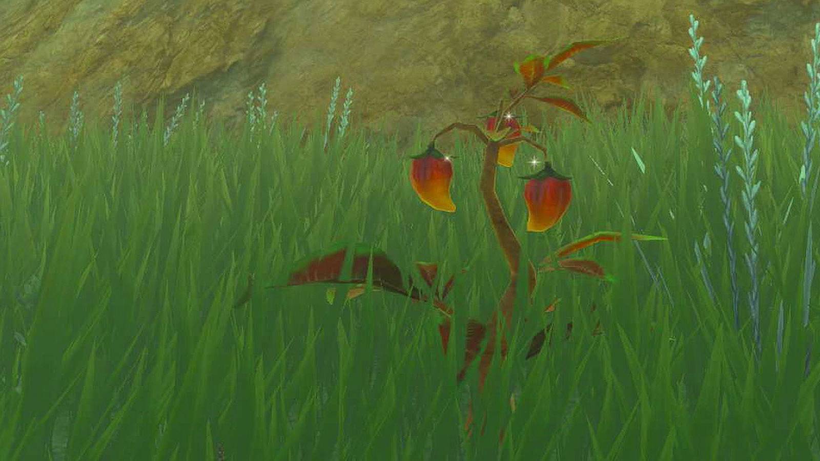Spicy Peppers farming in Zelda: Tears of the Kingdom.