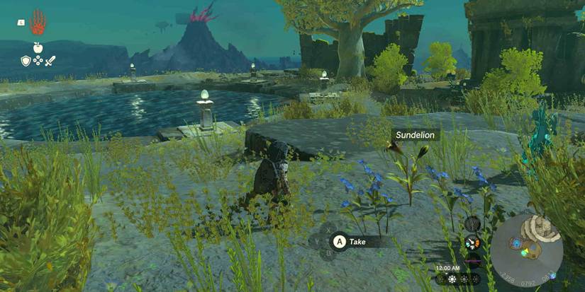 Sundelion locations in Zelda: Tears of the Kingdom.