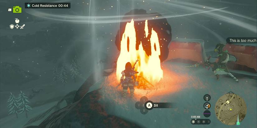 Supply-Eyeing Fliers quest in Zelda: Tears of the Kingdom.