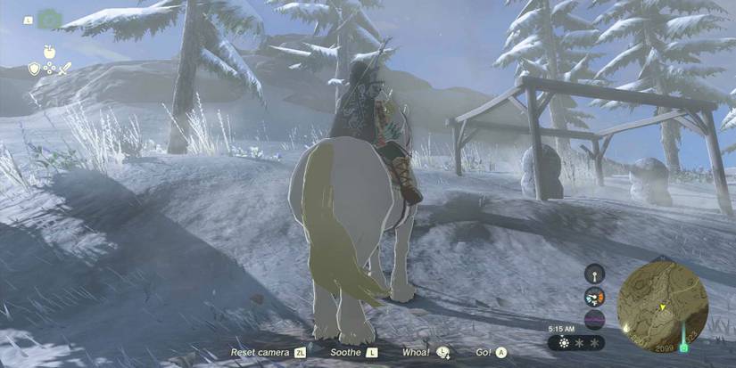 Supply-Eyeing Fliers quest in Zelda: Tears of the Kingdom.