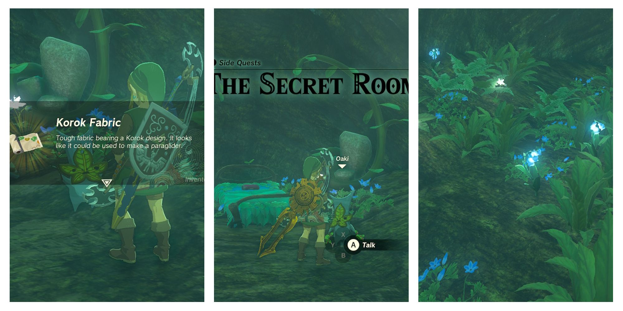 Zelda: Tears of the Kingdom - The Secret Room Quest Walkthrough (Korok  Fabric)