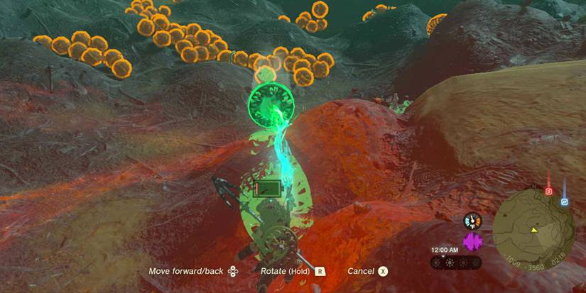 The Great Tumbleweed Purge quest in Zelda: Tears of the Kingdom.