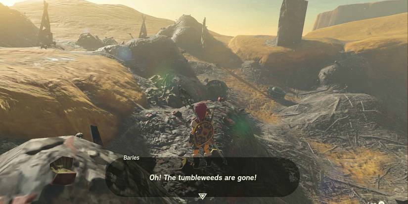 The Great Tumbleweed Purge quest in Zelda: Tears of the Kingdom.