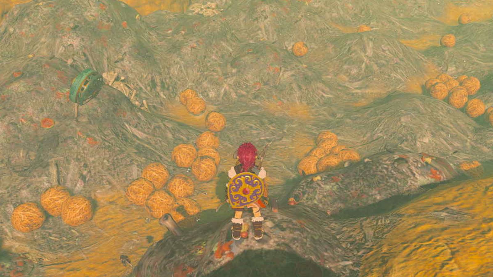 The Great Tumbleweed Purge quest in Zelda: Tears of the Kingdom.