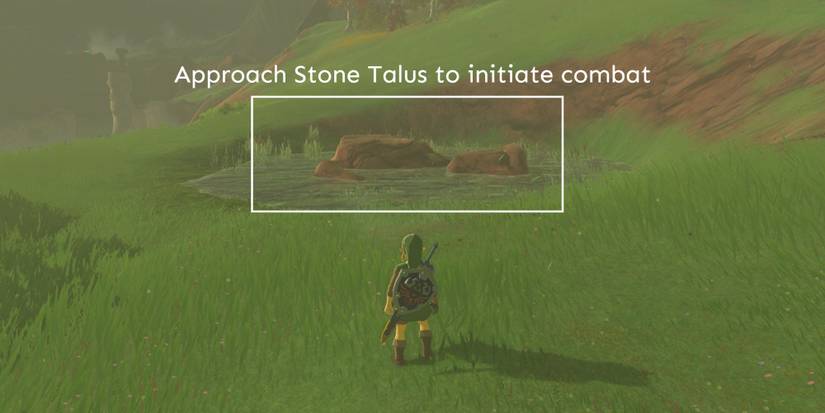 TotK-Wanted-Stone-Talus-Submerged