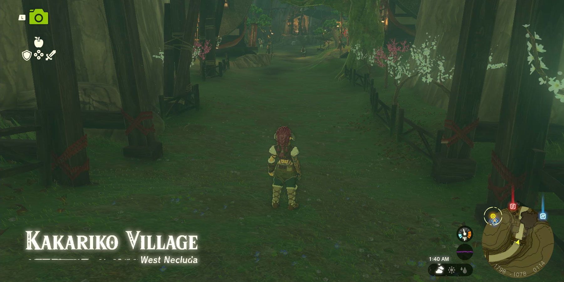 A Picture for Wetland Stable quest in Zelda: Tears of the Kingdom.