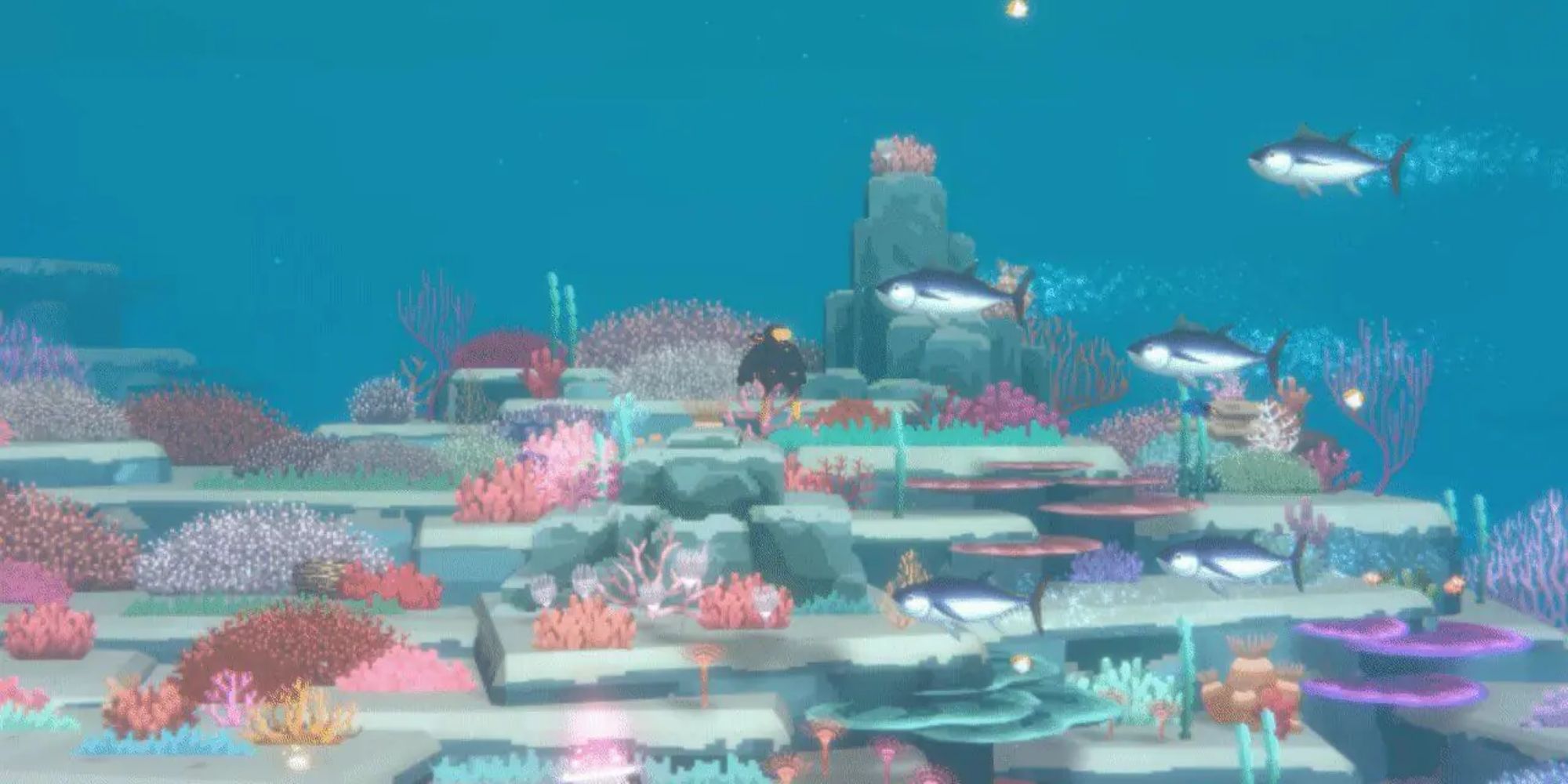 Best Fish In Dave The Diver