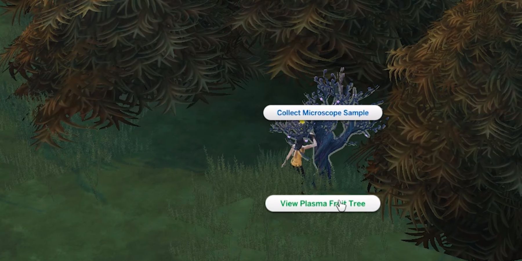 How to Get Plasma Fruit Sims 4