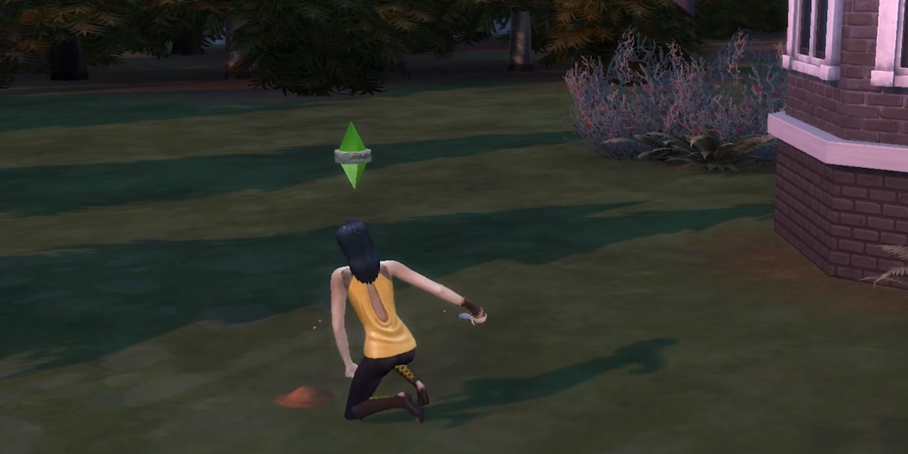 How to Get Plasma Fruit Sims 4