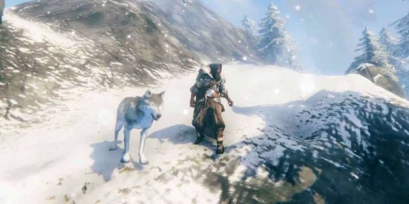 A player character and wolf stand together in a snow-swept landscape.