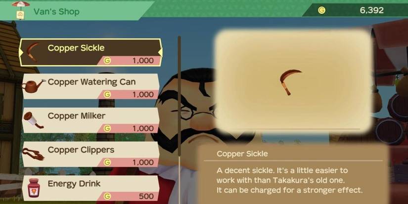 Van's Shop in A Story of Seasons