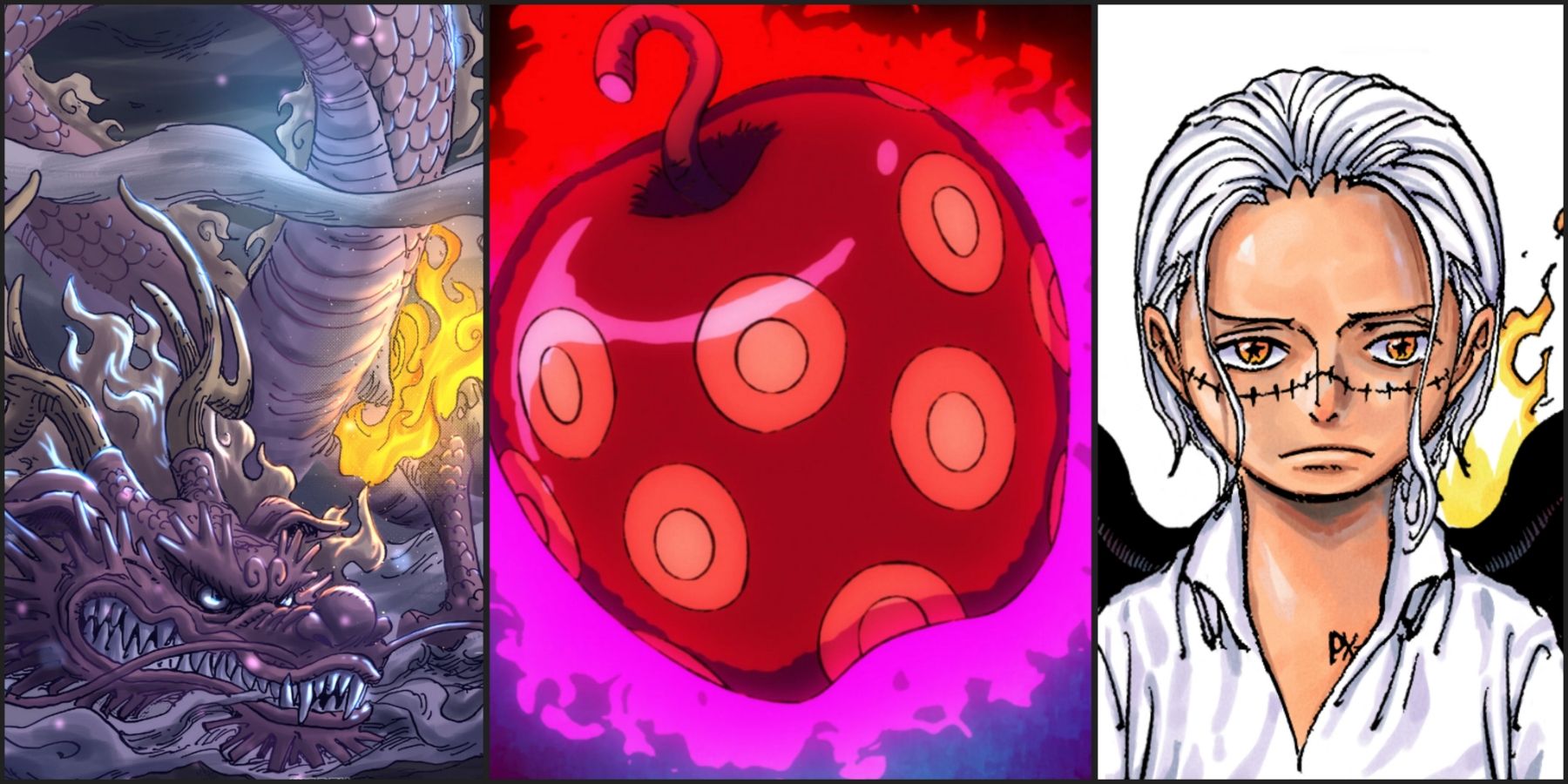 Kage Kage no Mi Devil Fruit in One Piece