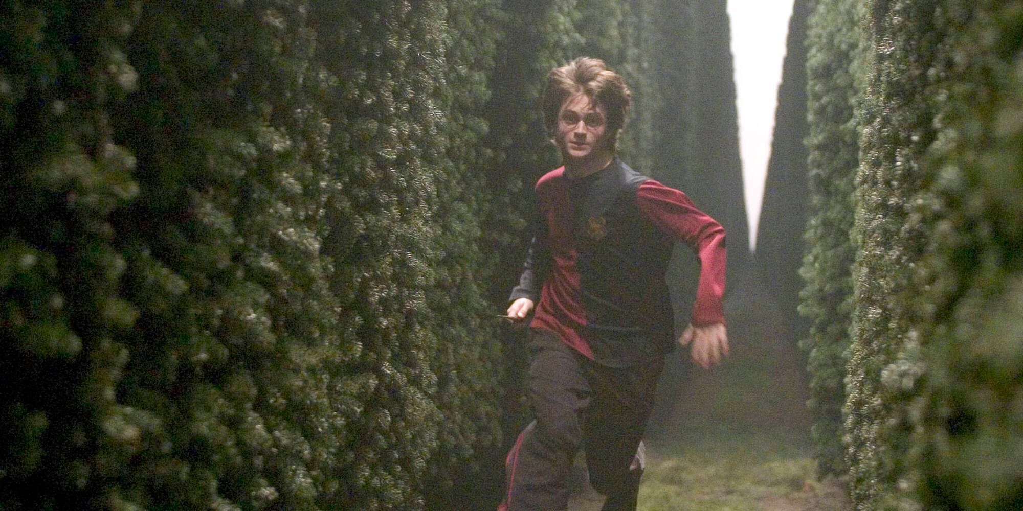 Harry Potter Triwizard Tournament Harry running through maze