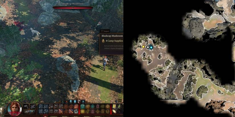 where to find scratch bg3