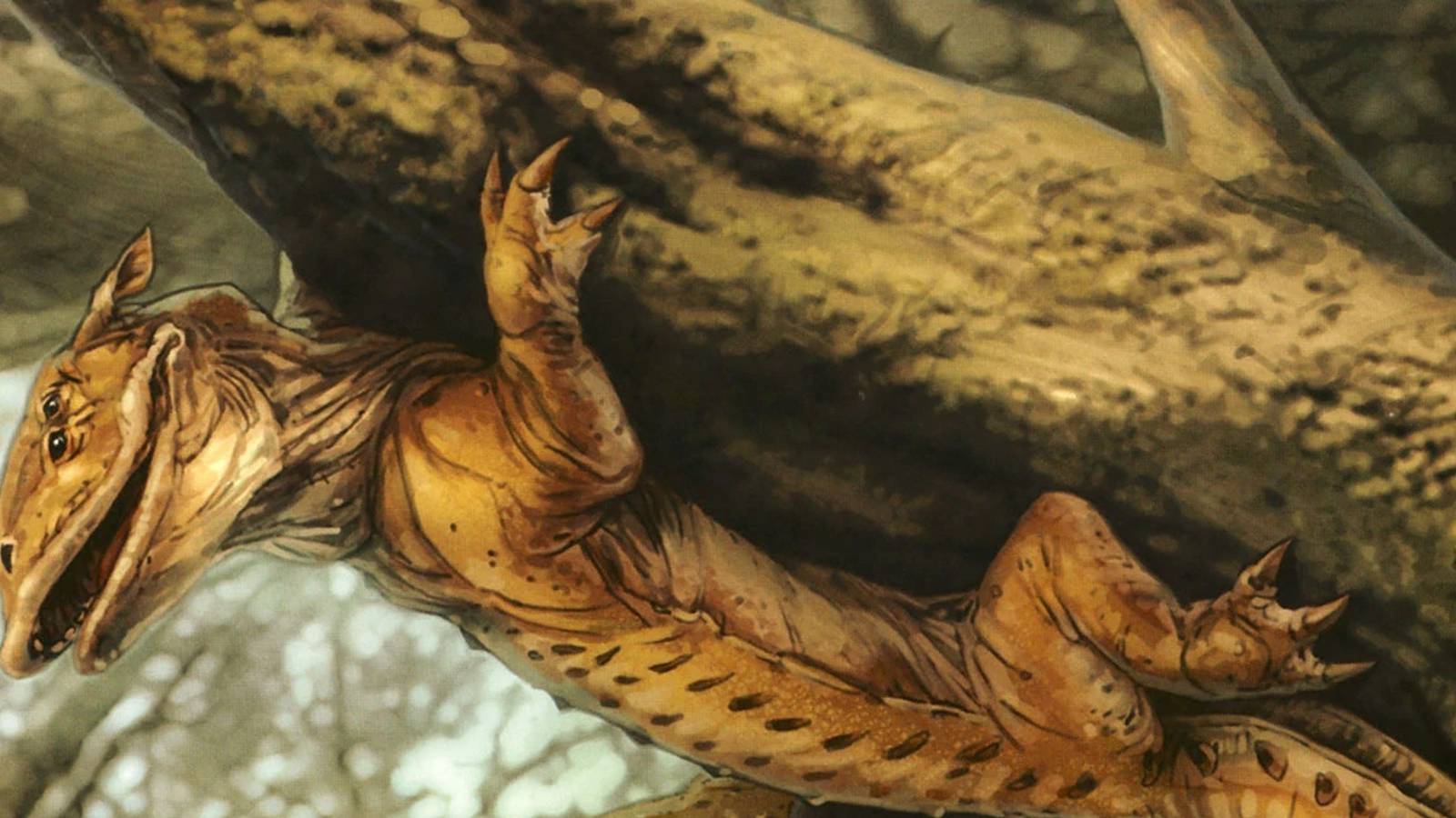 ysalamiri star wars legends