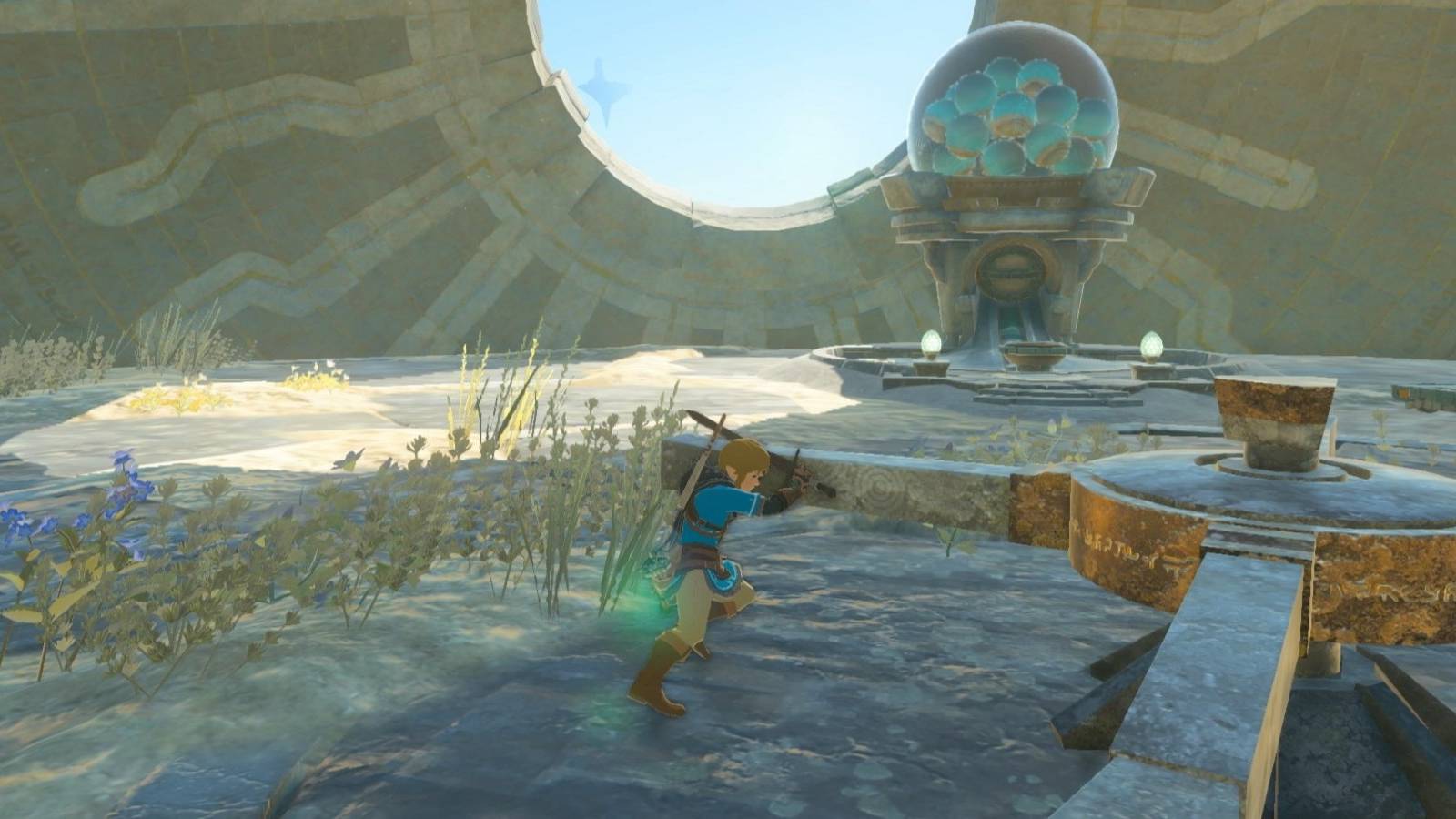 Zelda Tears of the Kingdom Endless Items Glitch