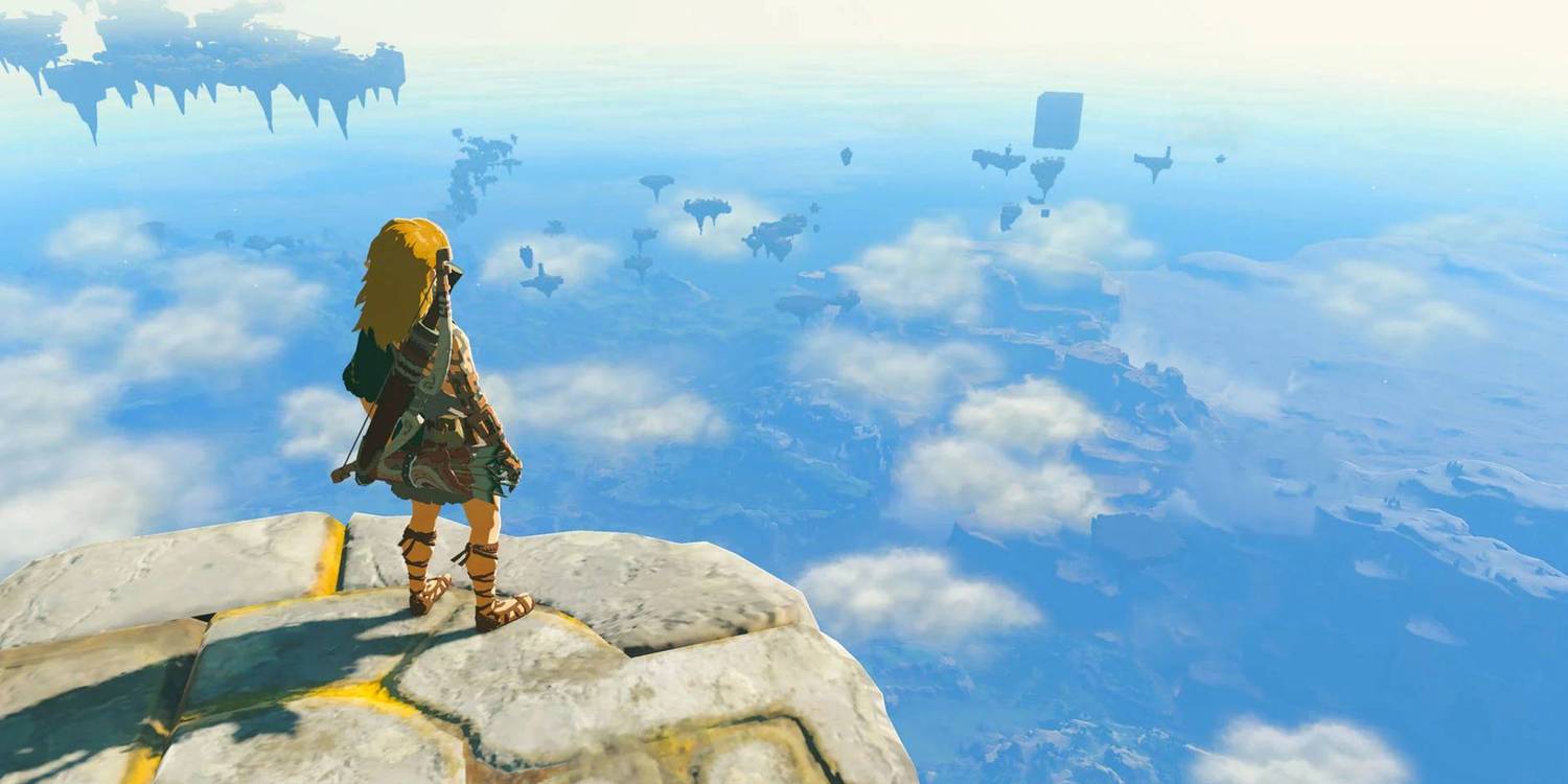 Zelda Tears of the Kingdom - Link Looking Down On Hyrule From Above