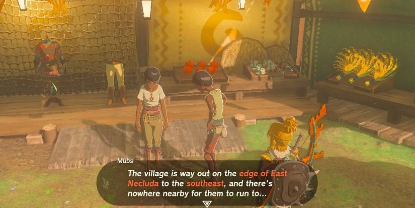 zelda-tears-of-the-kingdom-village-attacked-by-pirates2