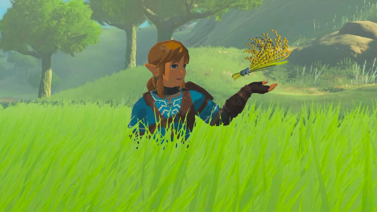 zelda-tears-of-the-kingdom-where-to-find-hylian-rice