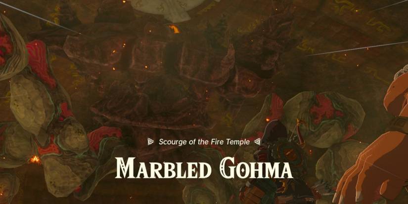 marbled gohma totk fire temple