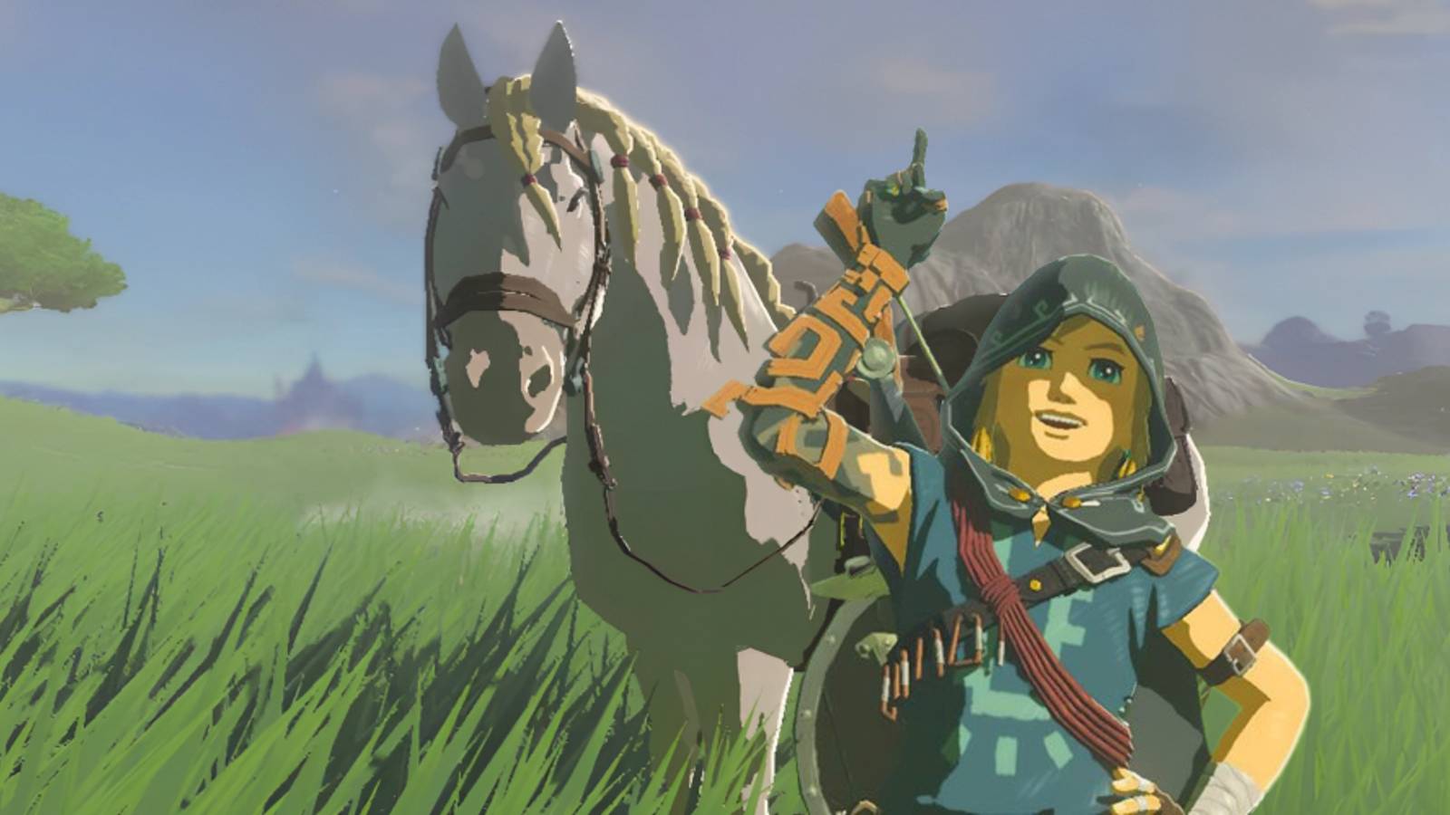 Zelda Tears of the Kingdom Horse Link