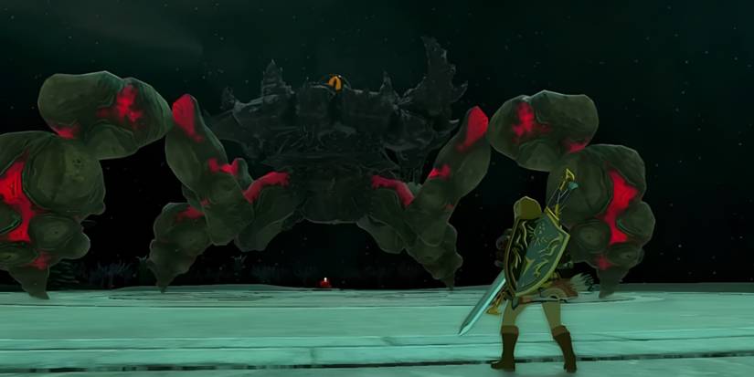 Zelda Tears of the Kingdom Marbled Gohma Depths