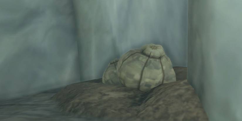 Zelda_ Tears of the Kingdom - All Mushroom Types & Where To Find Them big hearty truffle