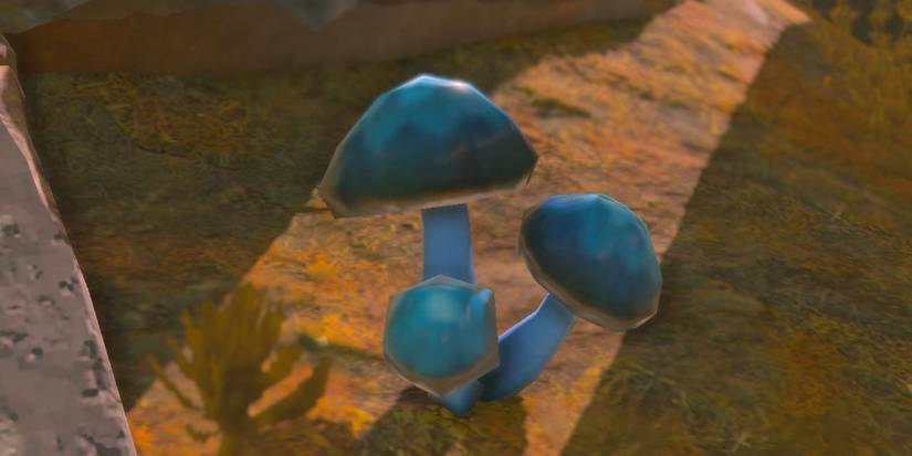 Zelda_ Tears of the Kingdom - All Mushroom Types & Where To Find Them chillshroom